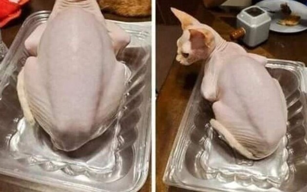 Это наша Бетси Это наша Бетси