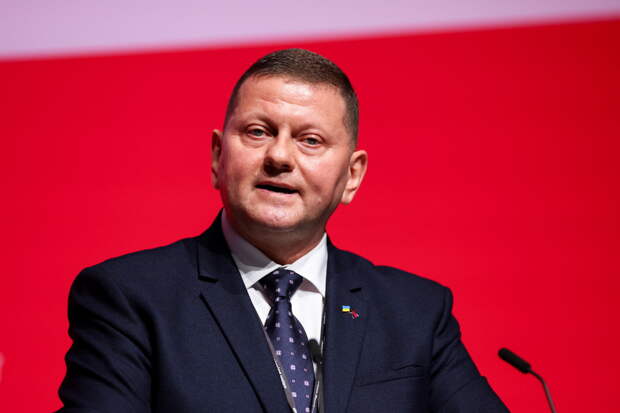 Представитель Залужного прокомментировала данные о его отставке