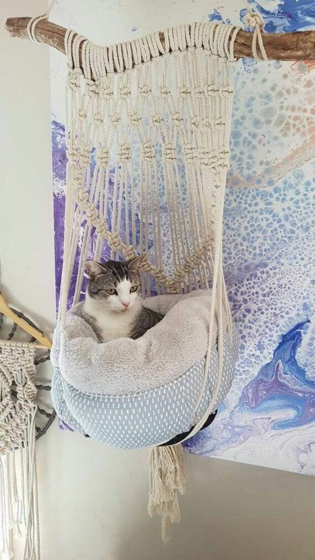 Кот который вяжет (подборка лежанок)