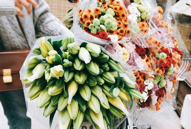 Популярная российская блогерша спаслась от мошенников благодаря лени