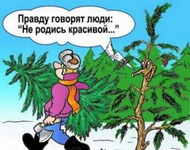 Весёлые новогодние картинки: праздник приближается!