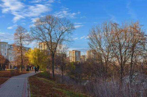 В выходные тамбовчанам обещают до +12 градусов