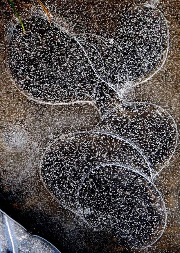 winterbeauty25