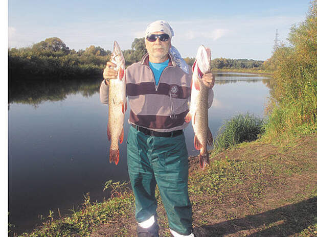 Щука на живца