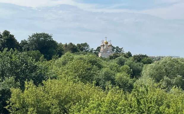 В Рязанской области 1 апреля потеплеет до +20°С