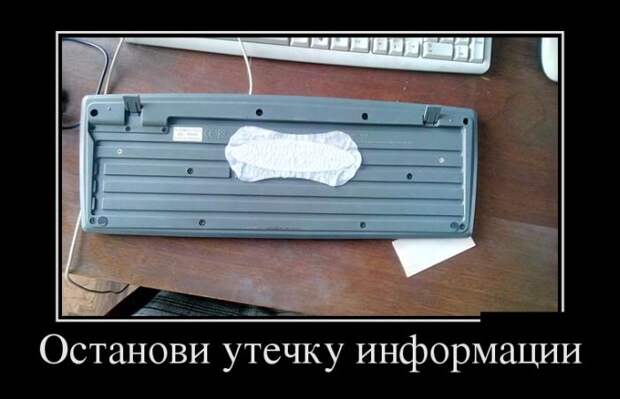 Демотиваторы бревно, демотиваторы, юмор