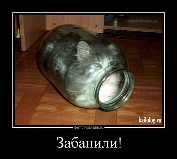 Демотиваторы - 248 (50 демотиваторов)
