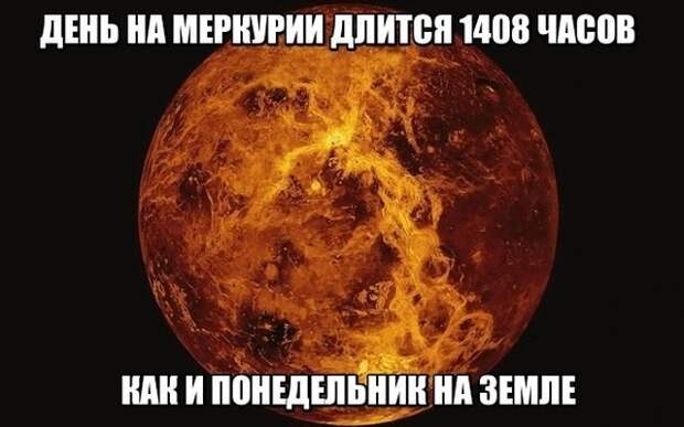 Картинки с надписями для настроения Картинки с надписями для настроения
