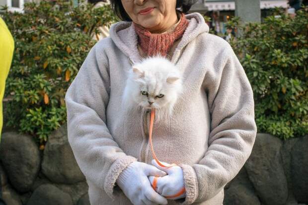 72 Funny And Bizarre Photos Of Everyday Life In Japan By Shin Noguchi