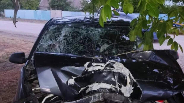 В Крыму водитель иномарки выехал на «встречку» и резался в дерево