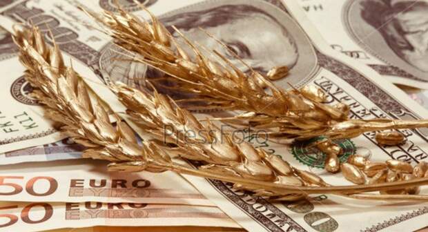 Agrarheute: маневр России со снижением цен на еду вызвал беспокойство в мире...