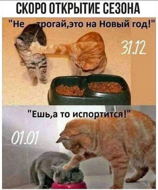 Юмор на сон грядущий