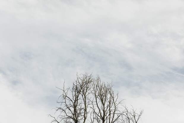 Серо, сыро, хмуро: типичная зима установилась в Астрахани