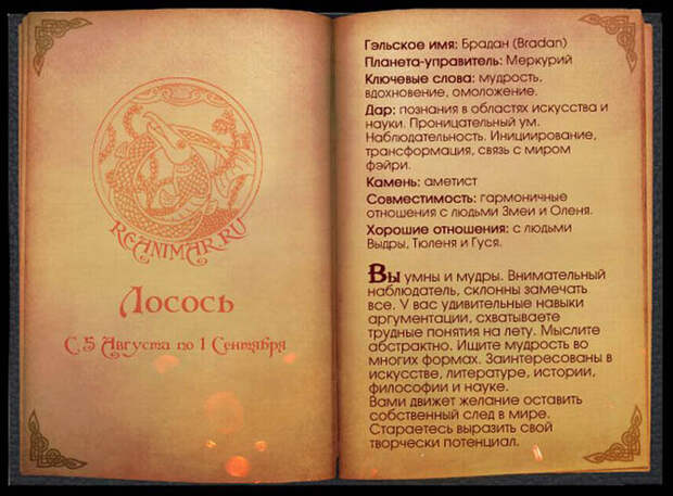 Кельтский гороскоп