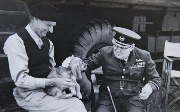 Генерал Бернард Монтгомери и Уинстон Черчилль играют с собакой Монтгомери по кличке «Роммель»