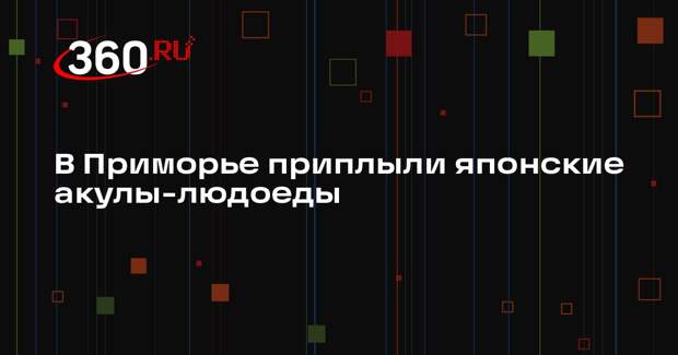Mash: в Уссурийском заливе заметили акул-людоедов