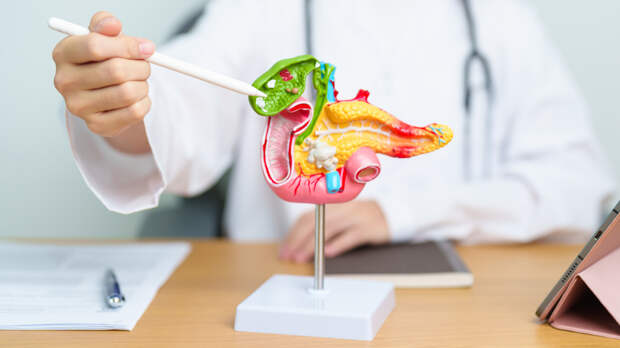 Нужно ли лечить перегиб желчного пузыря — отвечает врач