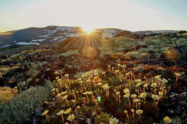 2025 год войдет в топ-3 самых жарких за всю историю наблюдений