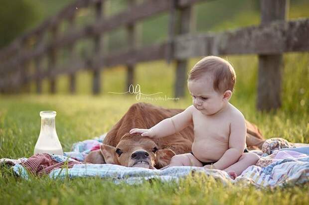 3. Хороший мальчик Веселые, воспитание, животные, коровы, лучший друг, смысл жизни