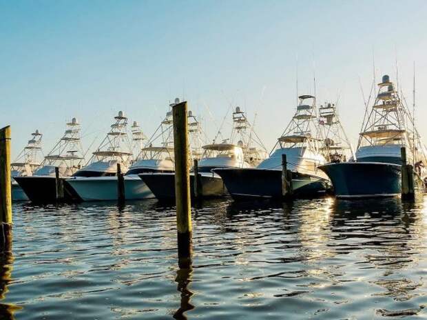 Salt Life charter captains
