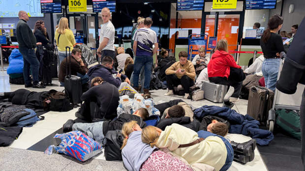 В Шереметьево произошли многочасовые задержки выдачи багажа и отмены рейсов