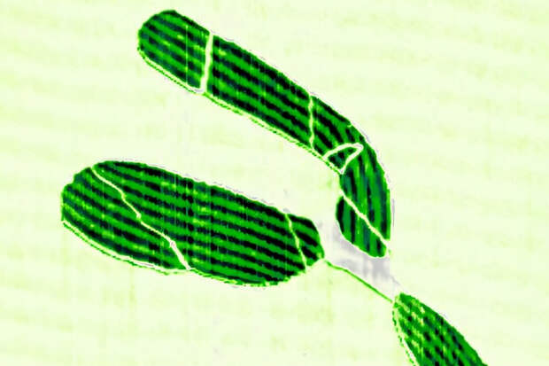 Графен бросил вызов фундаментальному закону физики