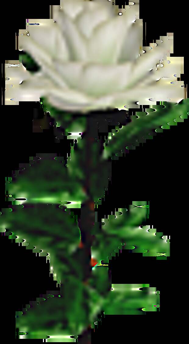 0_1468f3_bb26e10c_XS (55x100, 10Kb)