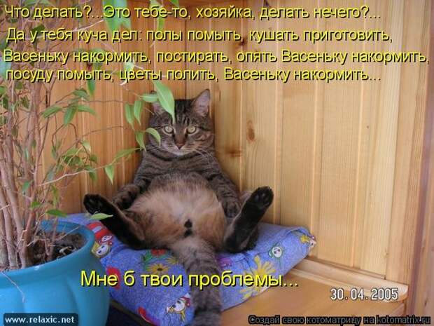 kotomatrix_111