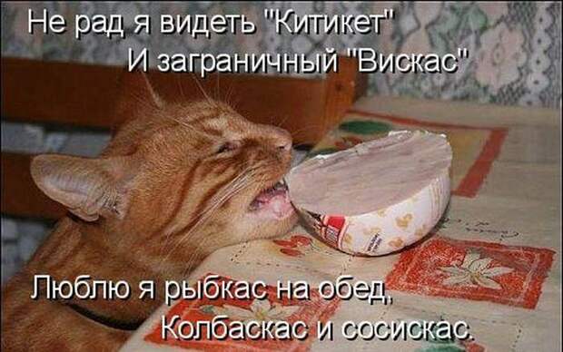 Мысли вслух :)