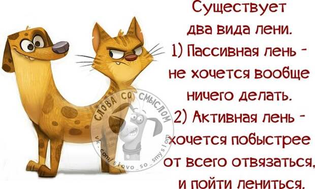 Я вообще ничего не делала. Стихи про лень прикольные. Открытки про лень смешные. Открытка лень работать. Смешные статусы про лень.