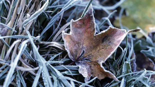 В ХМАО в выходные ожидается похолодание до -8 °С