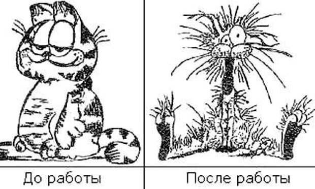 Весёлые карикатуры о работе и о том, что с ней связано