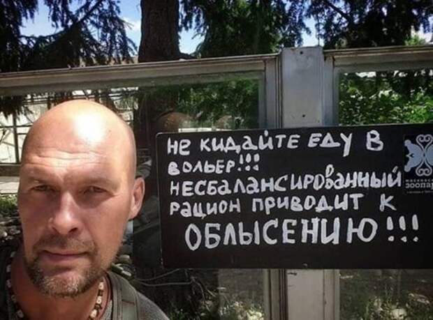 облысел