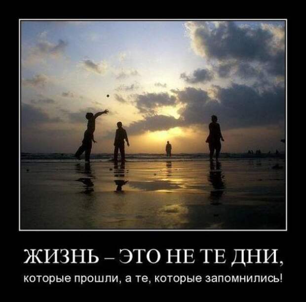 Демотиваторы от 290311 (23 шт.)
