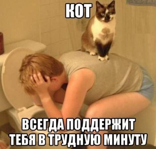 Забавные фотомемы (15 шт)