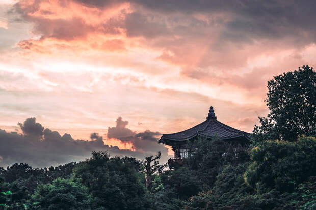 I Have Been Living In Seoul For Two Years And Here Are Some Of The Photos I Have Taken