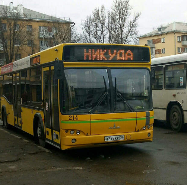 Эта прекрасная жизнь! | Фото: Пикабу. Эта прекрасная жизнь! | Фото: Пикабу.