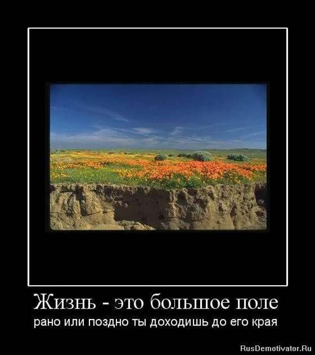 Прикольные демотиваторы с надписями. Подборка chert-poberi-dem-chert-poberi-dem-11530724102020-8 картинка chert-poberi-dem-11530724102020-8