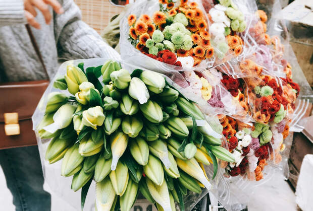 Популярная российская блогерша спаслась от мошенников благодаря лени