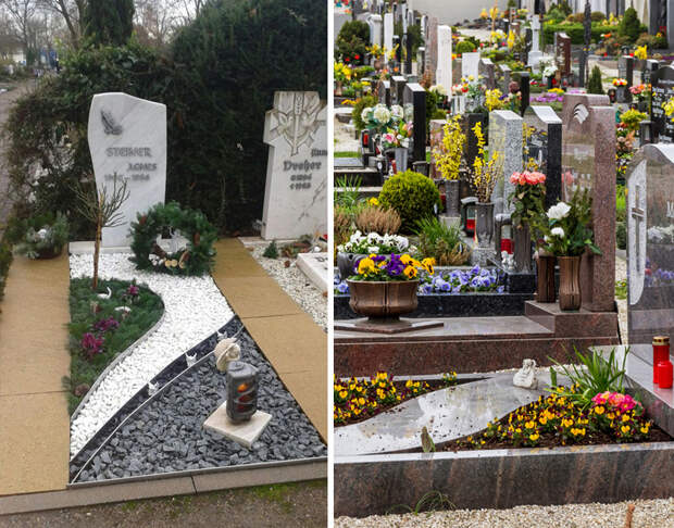 цветы для цветника на кладбище