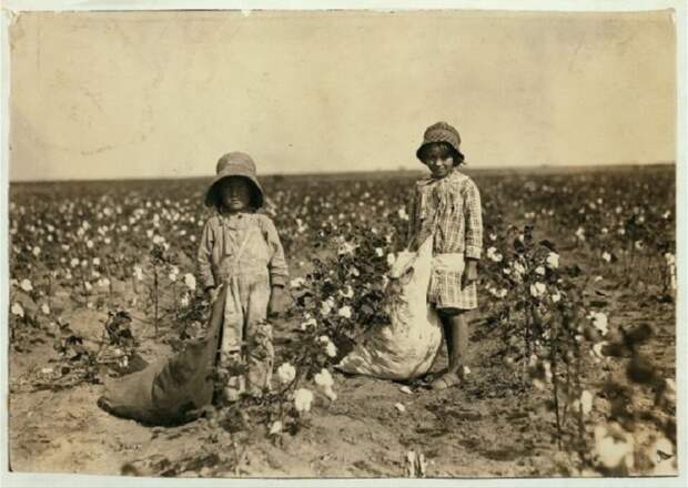 Джевел и Гарольд Уокер, собирающие от 20 до 25 фунтов хлопка в день. Оклахома, 10 октября 1916 года.