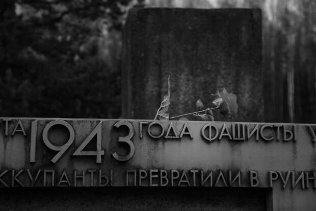 Фото © ТАСС / AP