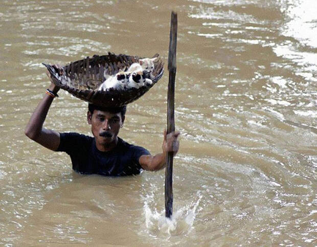 Фото: Biswaranjan Rout.