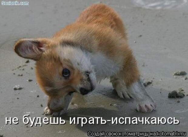 Котоматрица для ночных посетителей Поржать.ру