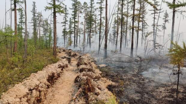 Дым от лесных пожаров в Якутии добрался до Красноярского края