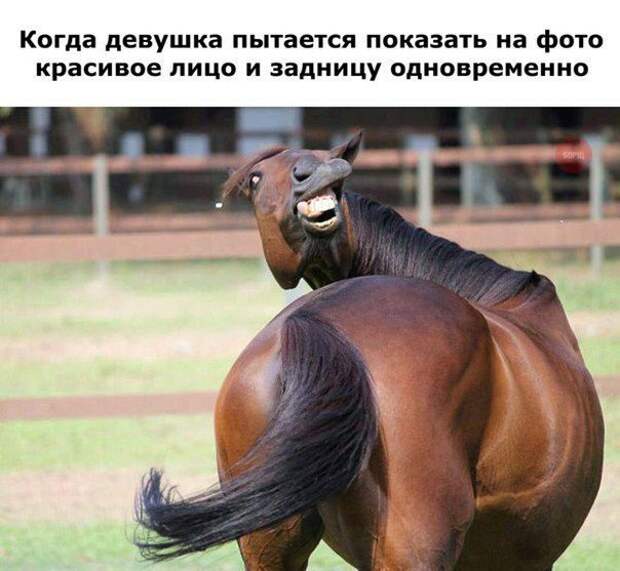 30 самых классных приколов дня. Рекомендую!