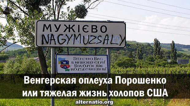 Венгерская оплеуха Порошенко, или Тяжелая жизнь холопов США