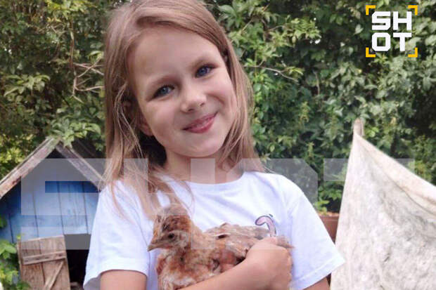 Волонтеры: в поисках пропавшей в Смоленске девочки участвуют почти 320 человек