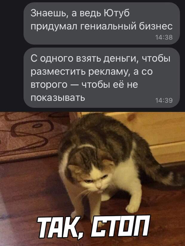 Смешные картинки 9 сентября 2021 года