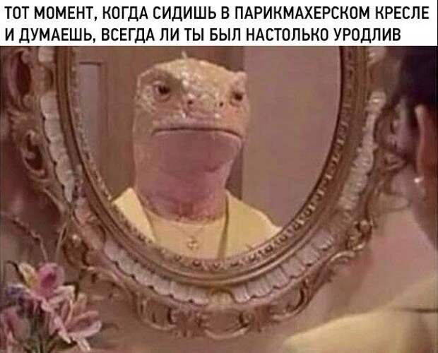 Картинки с надписями для настроения Картинки с надписями для настроения